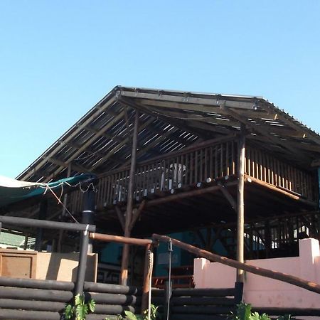 Jungle Monkey Backpackers Hostel Port Saint Johnʼs Kültér fotó