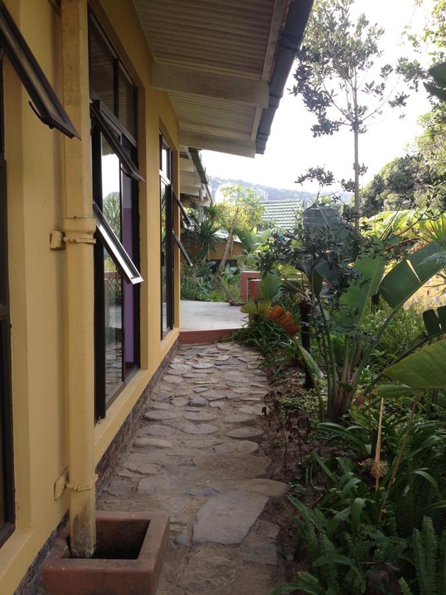 Jungle Monkey Backpackers Hostel Port Saint Johnʼs Kültér fotó