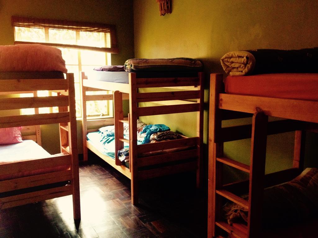 Jungle Monkey Backpackers Hostel Port Saint Johnʼs Szoba fotó