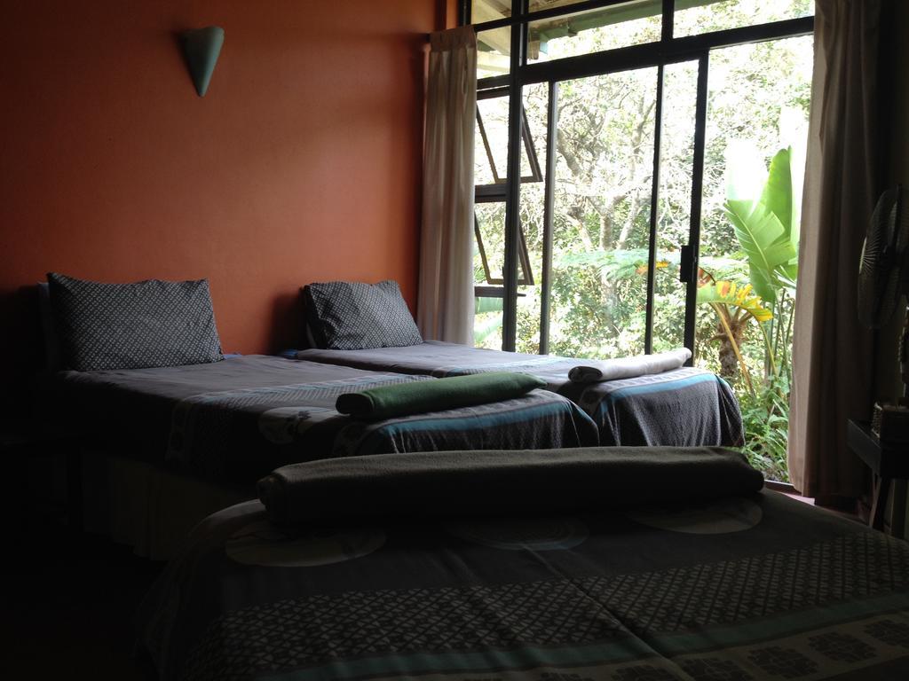 Jungle Monkey Backpackers Hostel Port Saint Johnʼs Szoba fotó