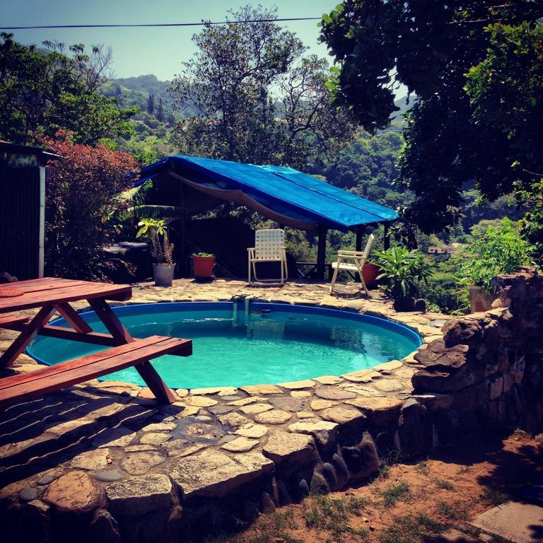 Jungle Monkey Backpackers Hostel Port Saint Johnʼs Szoba fotó