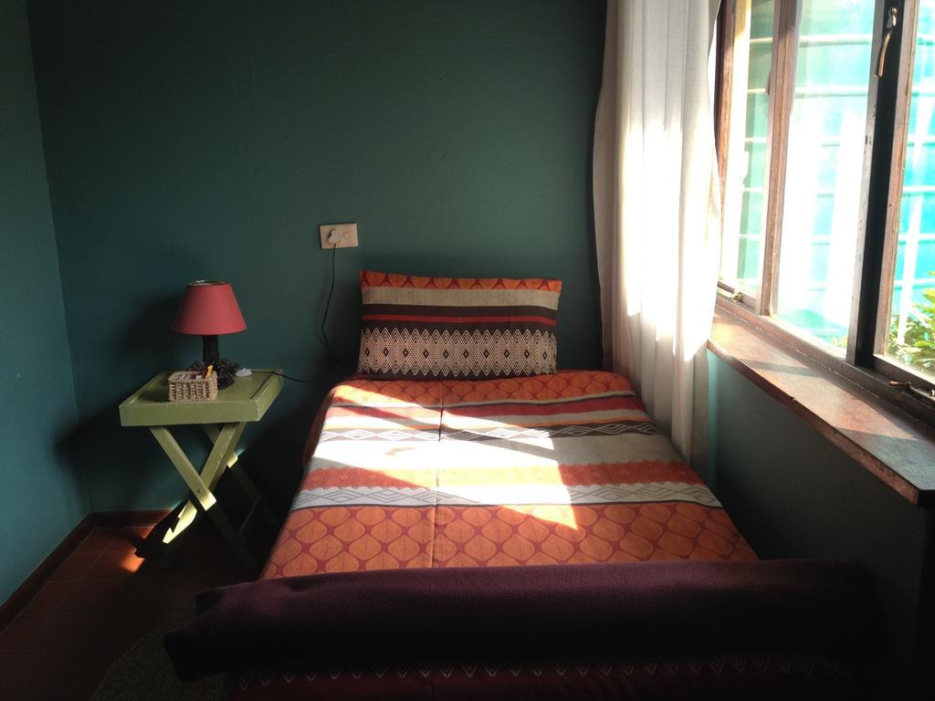 Jungle Monkey Backpackers Hostel Port Saint Johnʼs Szoba fotó