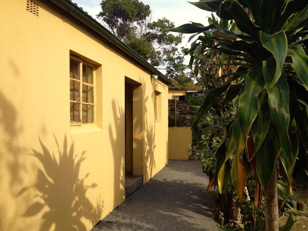 Jungle Monkey Backpackers Hostel Port Saint Johnʼs Szoba fotó