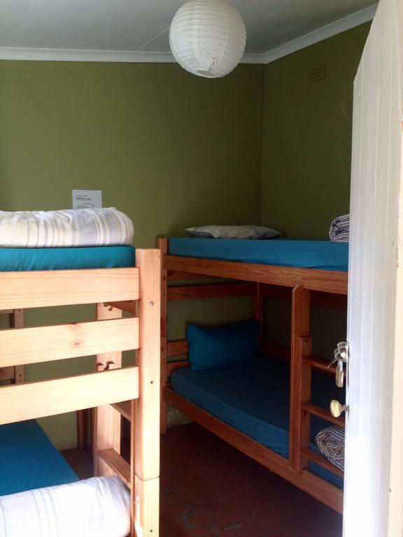 Jungle Monkey Backpackers Hostel Port Saint Johnʼs Szoba fotó