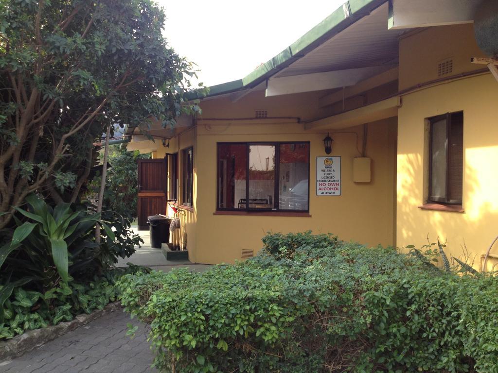 Jungle Monkey Backpackers Hostel Port Saint Johnʼs Szoba fotó