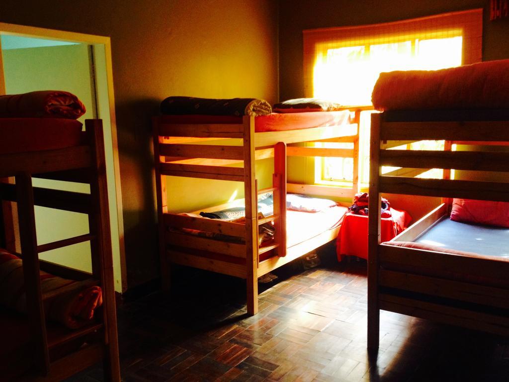 Jungle Monkey Backpackers Hostel Port Saint Johnʼs Szoba fotó
