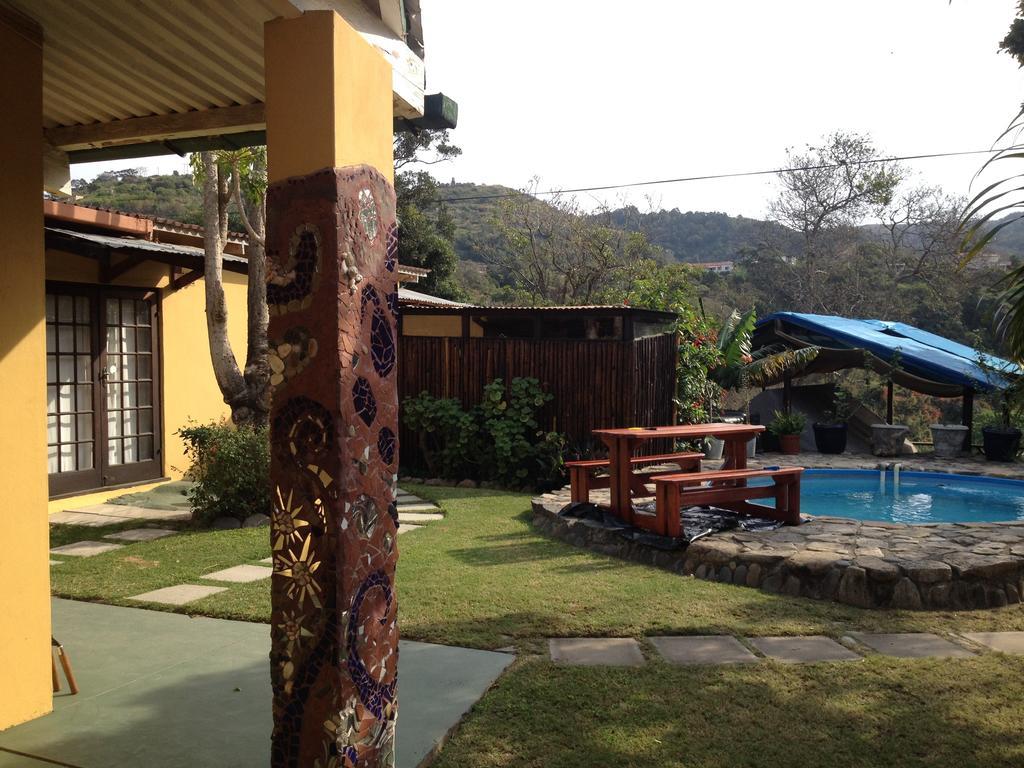 Jungle Monkey Backpackers Hostel Port Saint Johnʼs Szoba fotó