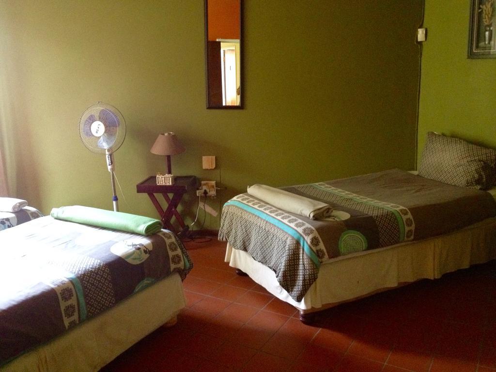 Jungle Monkey Backpackers Hostel Port Saint Johnʼs Szoba fotó