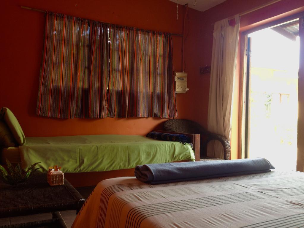 Jungle Monkey Backpackers Hostel Port Saint Johnʼs Szoba fotó