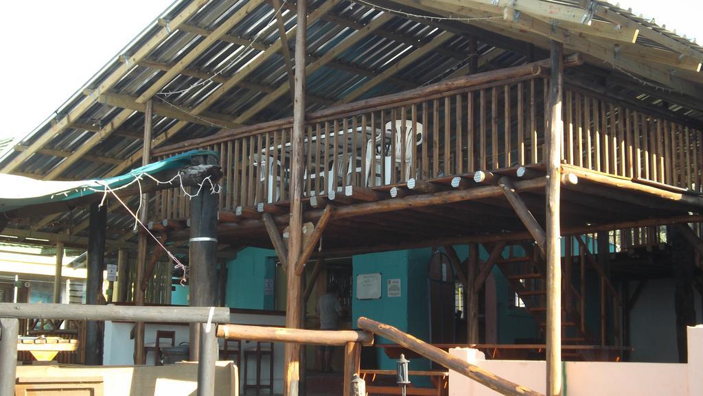 Jungle Monkey Backpackers Hostel Port Saint Johnʼs Kültér fotó