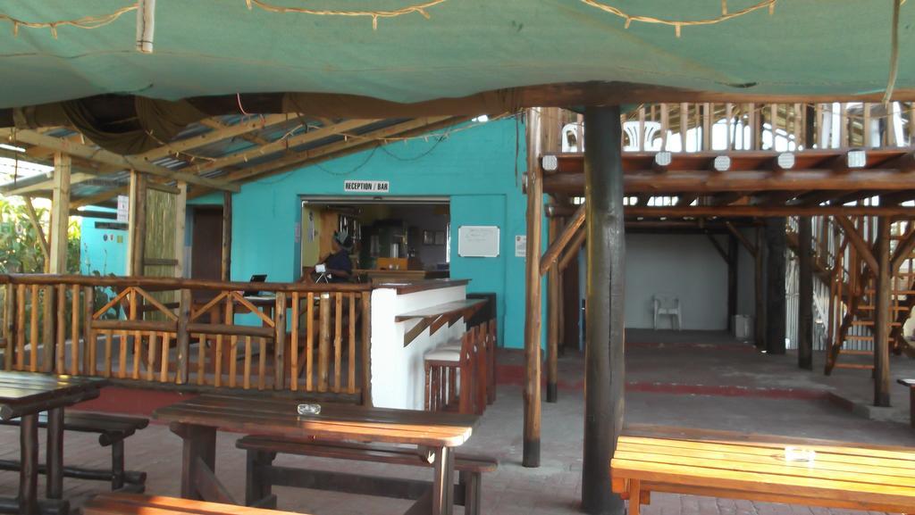 Jungle Monkey Backpackers Hostel Port Saint Johnʼs Kültér fotó